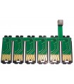 CIPURI T0481/T0486