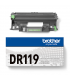 DR119